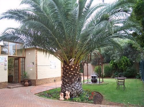 Angels Haven Guesthouse0