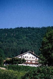 Relais du Silence Hotel Taillard1