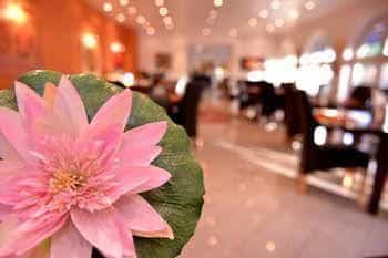 Alpha-Hotel garni Alpha-Hotel garni