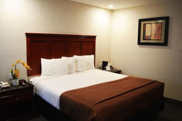 DOUBLE QUEEN SIZE BED