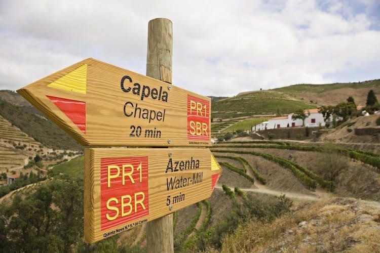 Quinta Nova - Luxury Winery House3