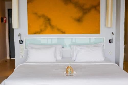 Deluxe Double or Twin Room with Spa Bath