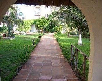 Salvia Cancun1