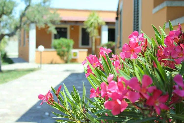 Hotel Resort Mulino a Vento Hotel Resort Mulino a Vento