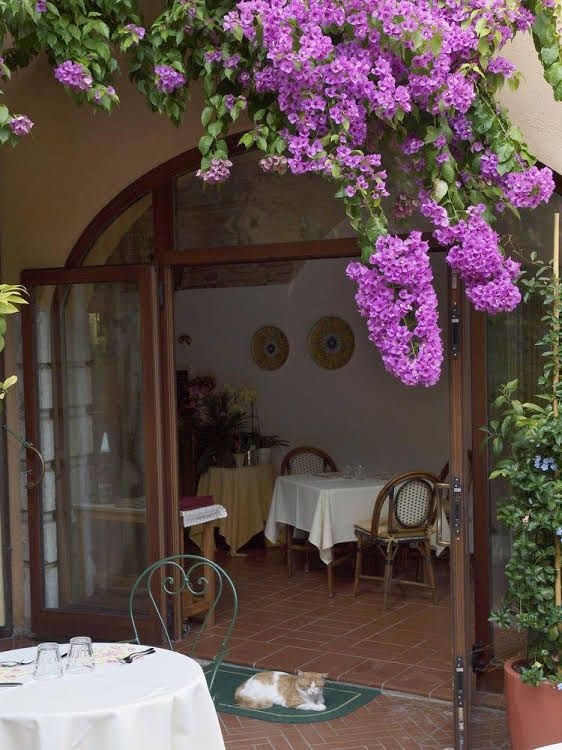 Hotel San Filis4