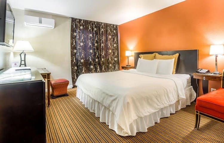 The Lemon Tree Hotel0