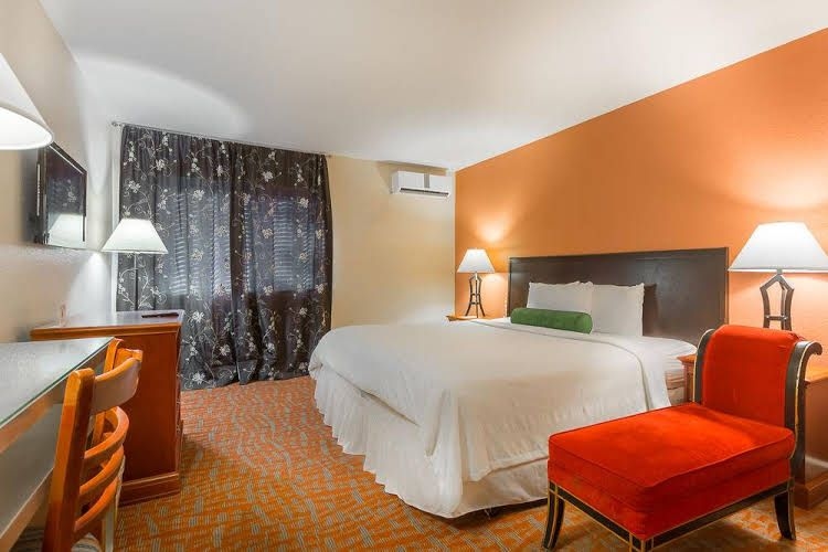 The Lemon Tree Hotel1