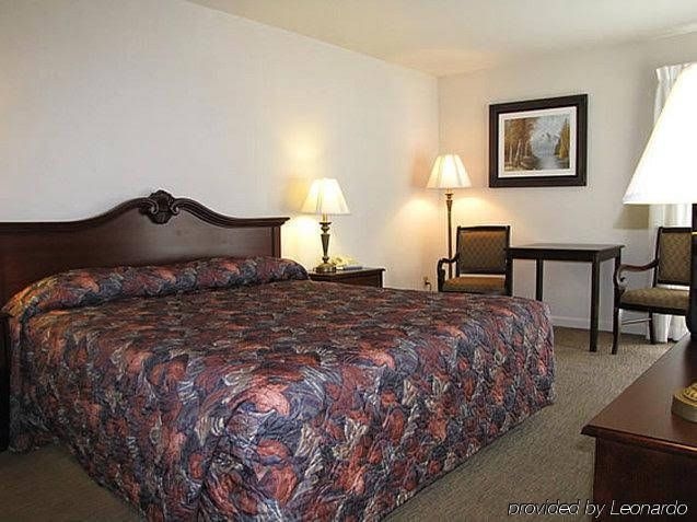 The Magic Carpet Lodge2