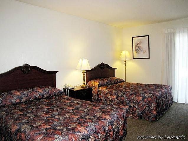 The Magic Carpet Lodge3