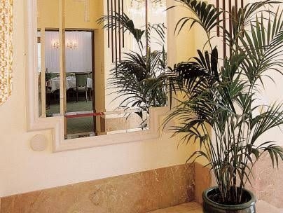 Hotel An Der Wien1