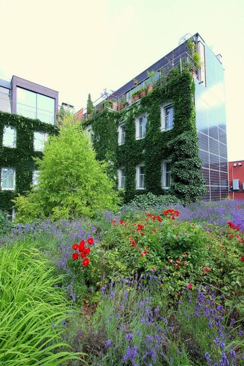 Boutiquehotel Stadthalle0