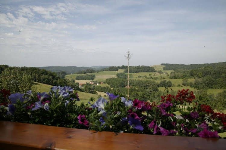 Panoramahof Loipersdorf1