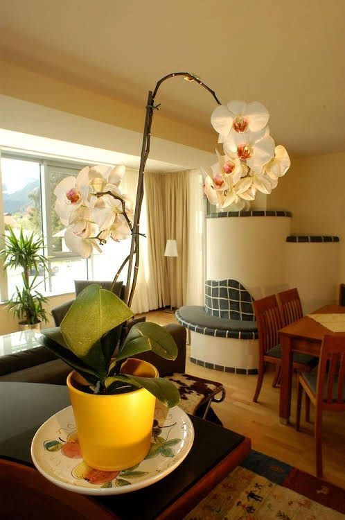 Appartements Tritscher1