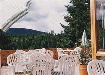 Schwarzwald-Gasthof Hirsch Schwarzwald-Gasthof Hirsch