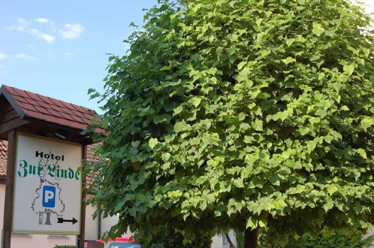 Hotel zur Linde Hotel zur Linde