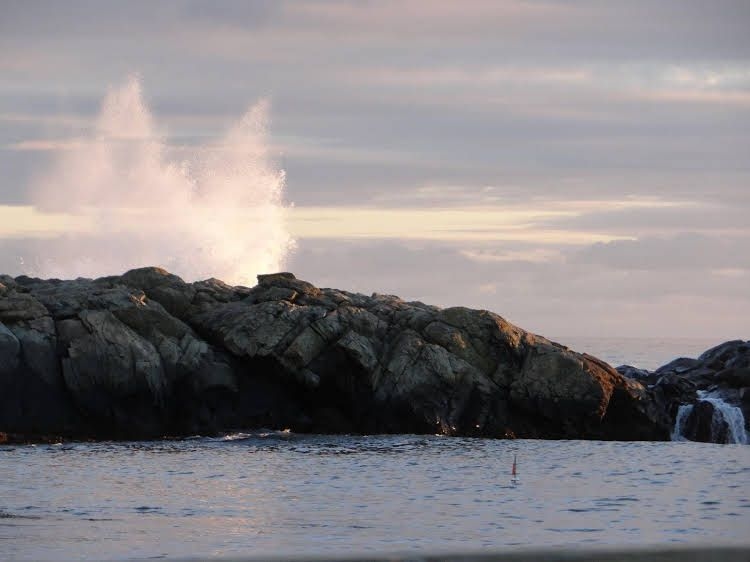 Rhea's Inn by the Sea0