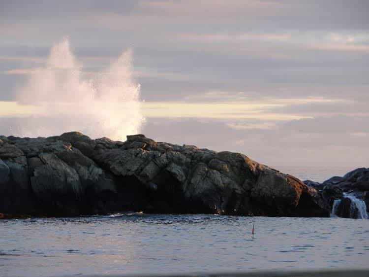 Rhea's Inn by the Sea