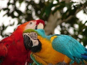 El Dorado Plaza Hotel & Business3