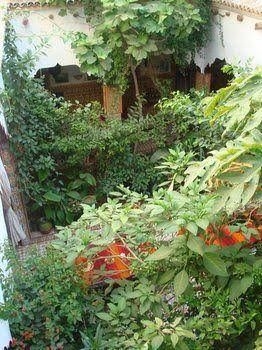 Riad Maryam Taroudant2