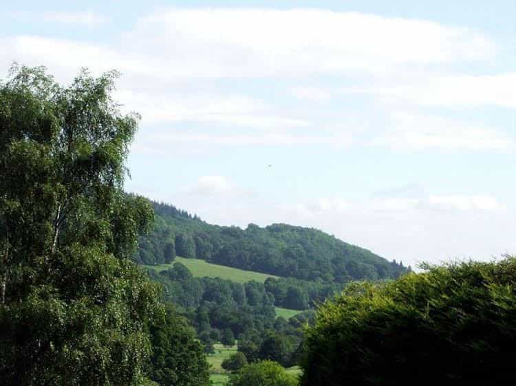Tyn y Wern Guest Accommodation Tyn y Wern Guest Accommodation