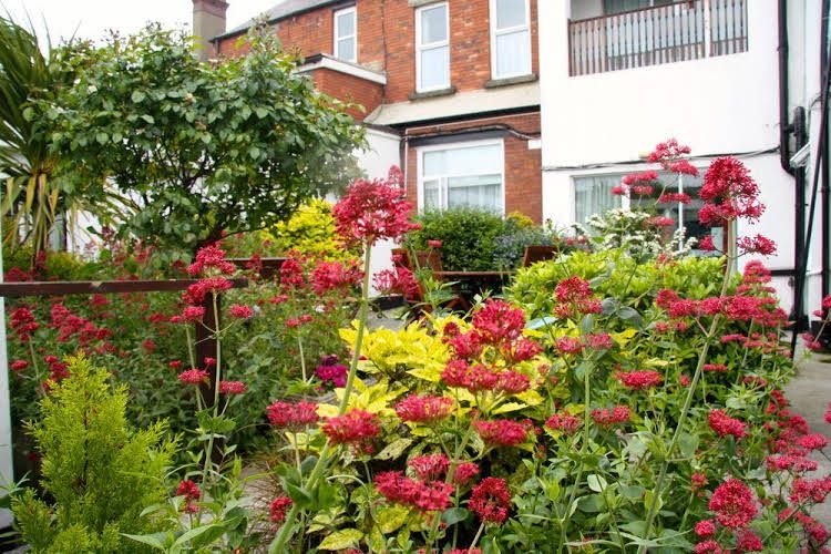 Egans House2