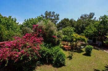 Baris Pension & Bungalows Baris Pension & Bungalows