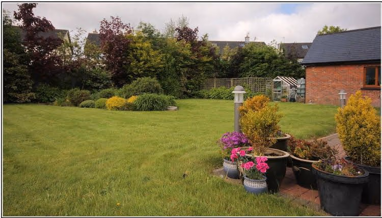 Oranhill Lodge Guesthouse1