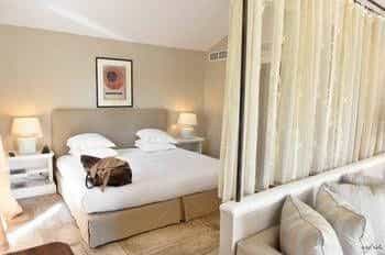 Hotel Alain Llorca Hotel Alain Llorca