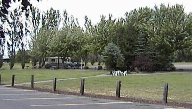 Nites Inn Motel & RV Park Nites Inn Motel & RV Park