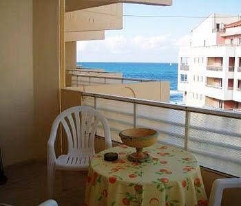 Aloe Apartments4