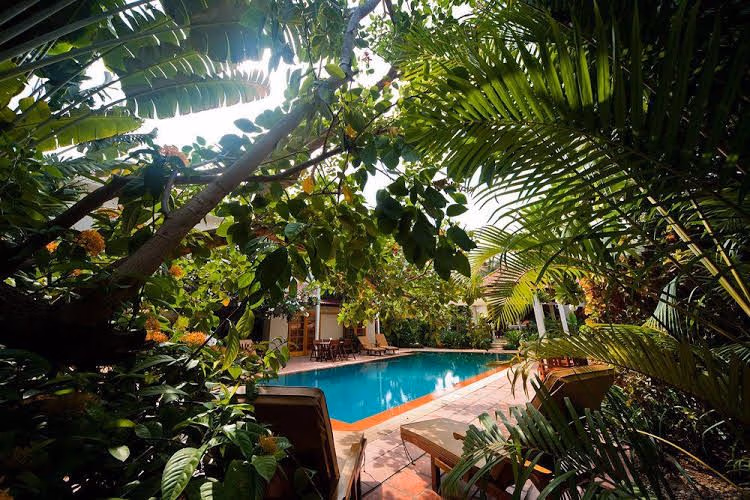 The Villa Paradiso Ltd.4
