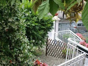 Hotel Delle Rose4
