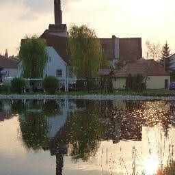 Landgasthof Windfelder am See0