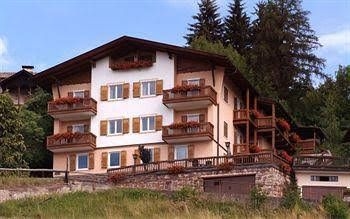 Hotel Alpino4