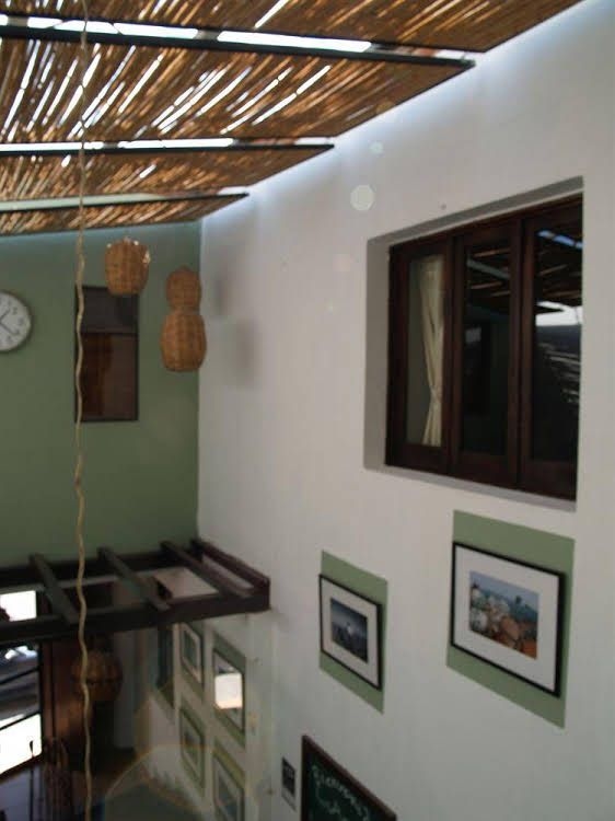 Los Agaves1