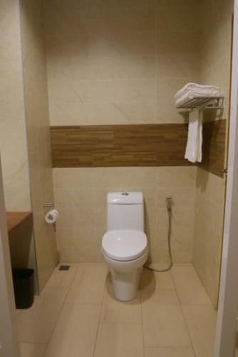Deluxe Double or Twin Room - No View