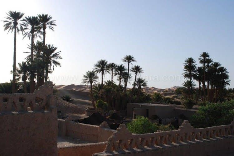 Auberge Sahara4