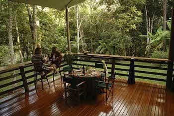 Cedar Park Rainforest Resort