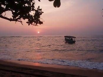 Ypsylon Tourist Resort4