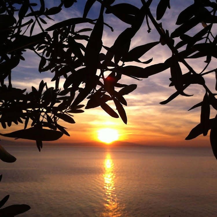 Atamer Doga Resort3