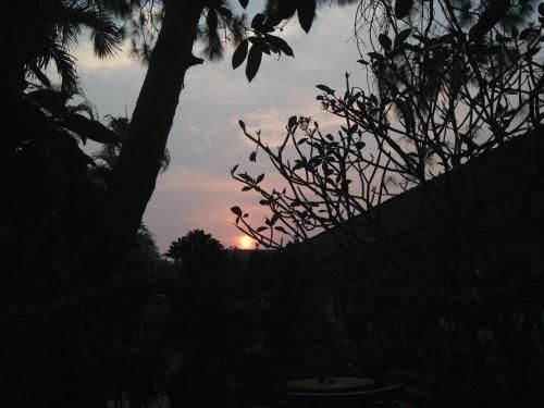 Baan Bua Guest House2