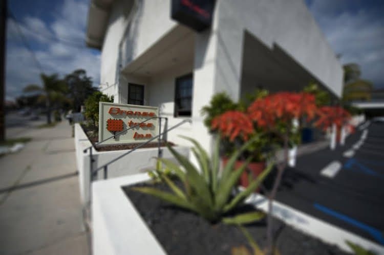 Orange Tree Inn3