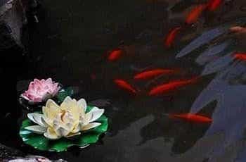 Traveler Inn Gusu Suzhou Traveler Inn Gusu Suzhou