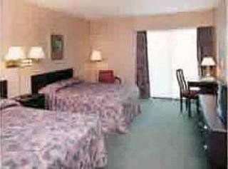 Comfort Inn & Suites3