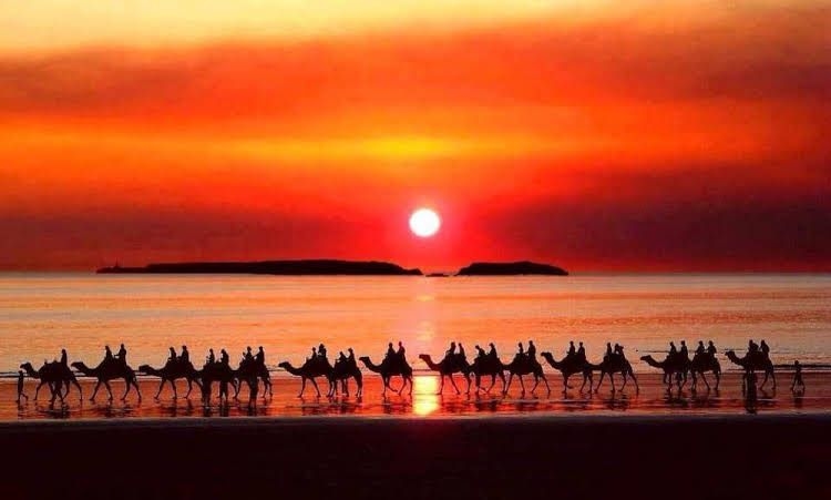 Essaouira Youth Hostel & Social Travel1