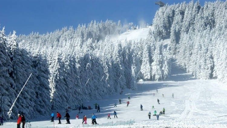 Hostel Braunlage1