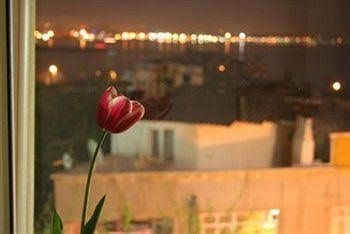 Tulip Guesthouse1