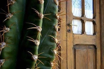 El Cortijo Hotel Boutique1