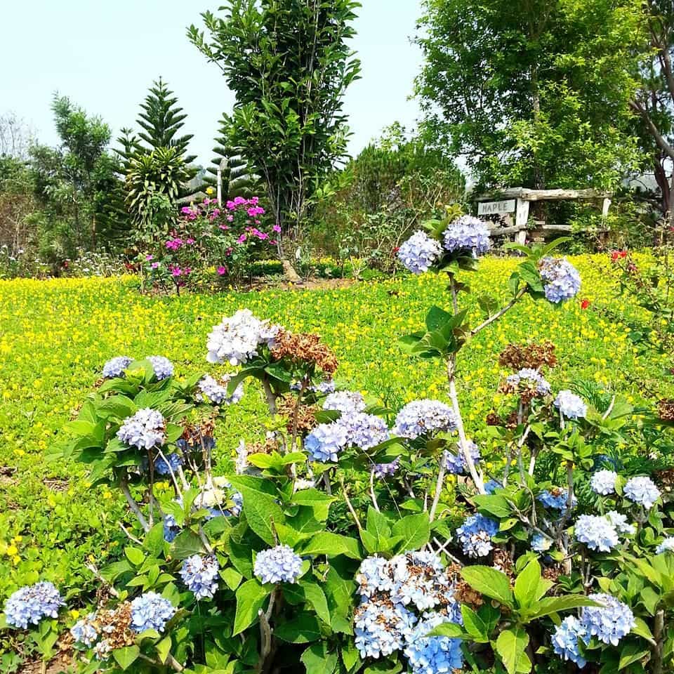 Ban Phu Nao Ban Phu Nao
