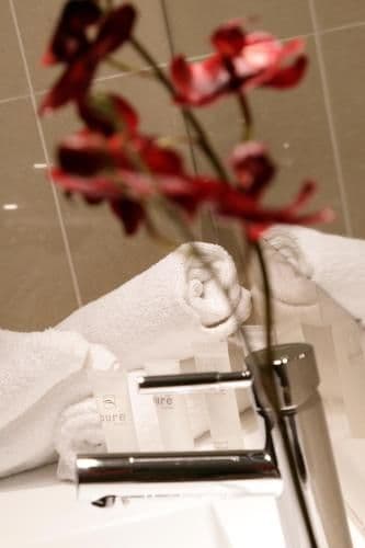 Deluxe Double or Twin Suite